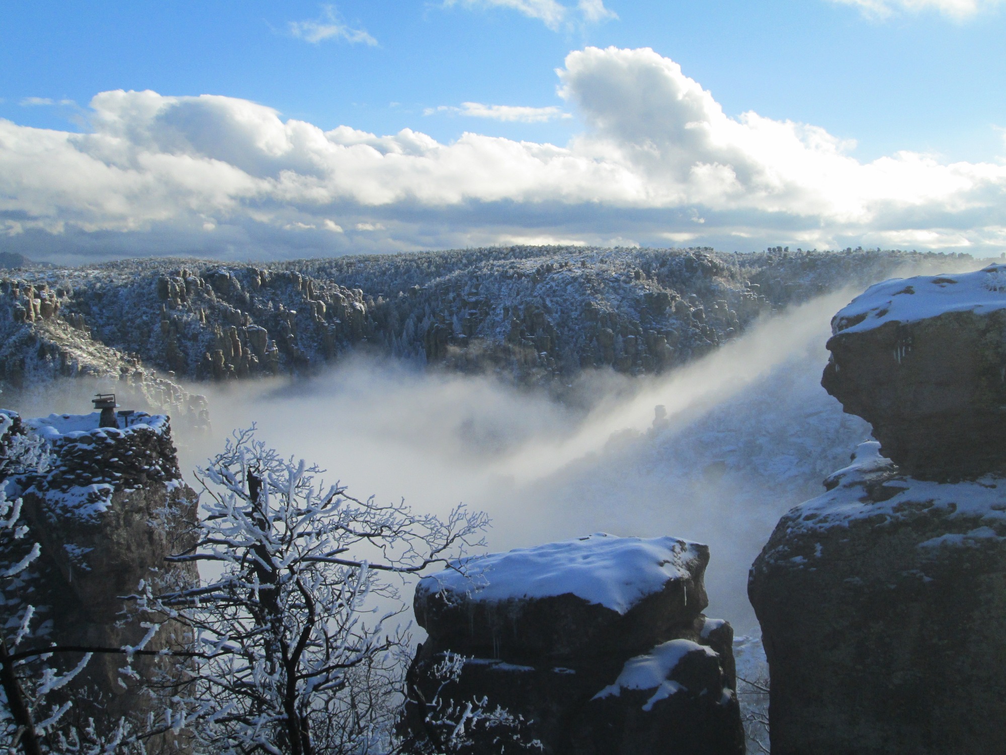 snow and blowing snow on trees at rocks