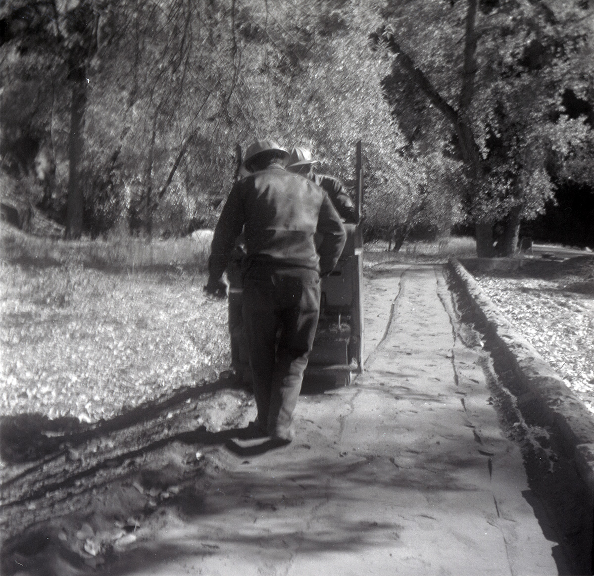 Men leveling road near the Temple of Sinawava.