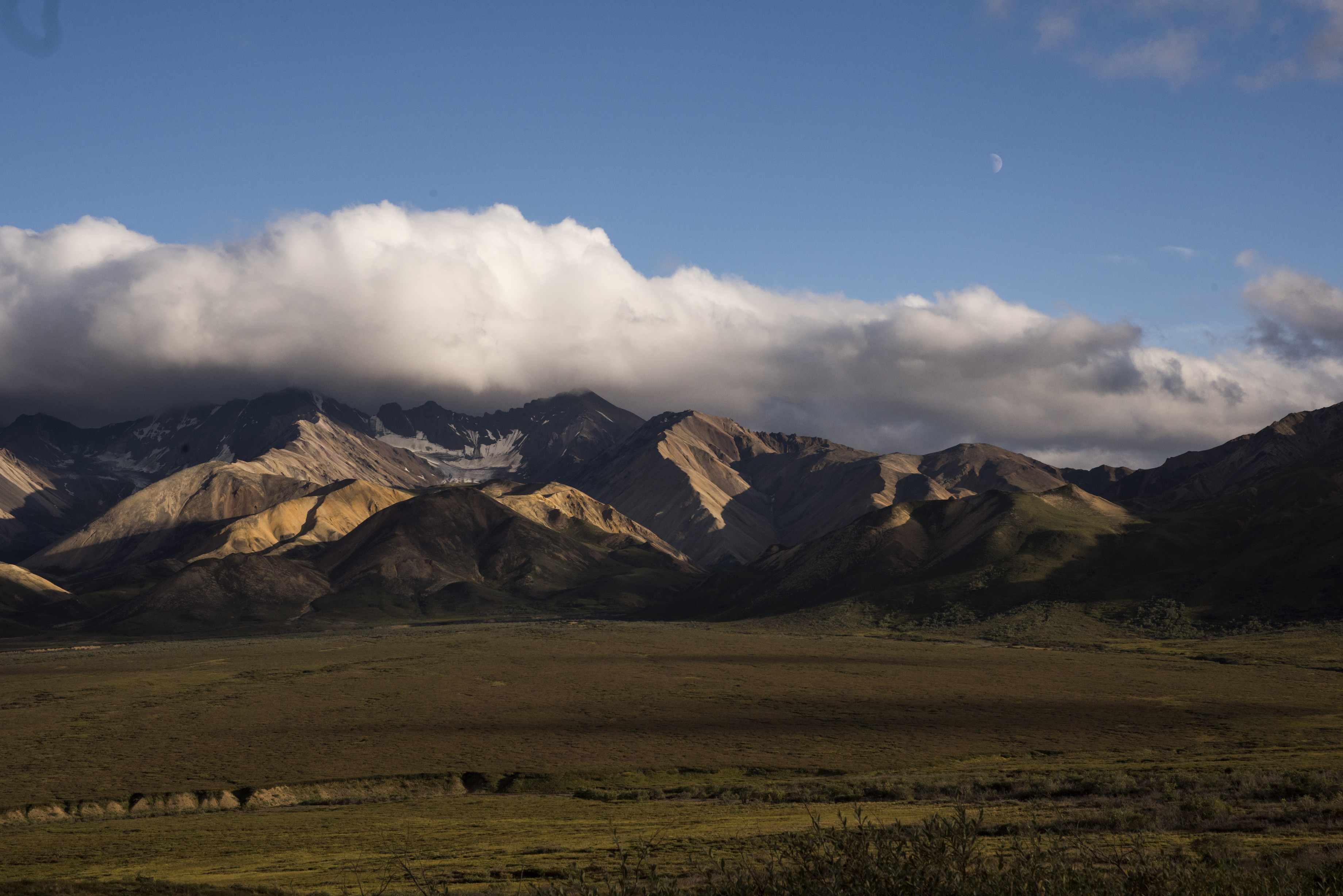 green landscape leading up to mountains