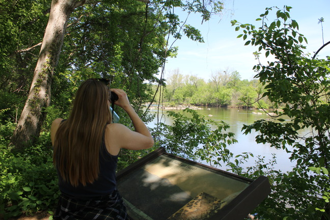 A person using binoculars on a riverbank looking at a bald eagle nest.