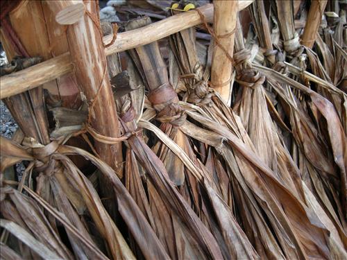 Rebuild Hale o Keawe Scale Model at Pu'uhonua o Honaunau National Historical Park in Spring 2010