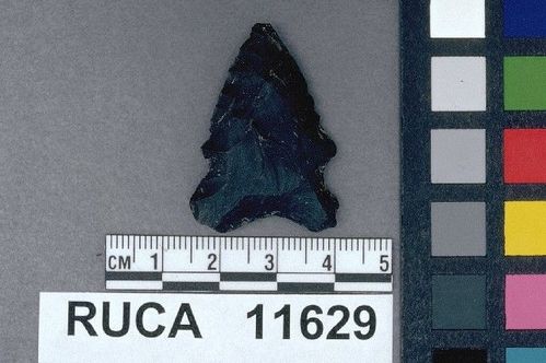 RUCA   11629 -- Point, Projectile