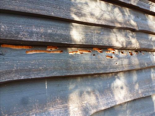 Rehab 19 Structures in Cabin Camp 2 in December 2014