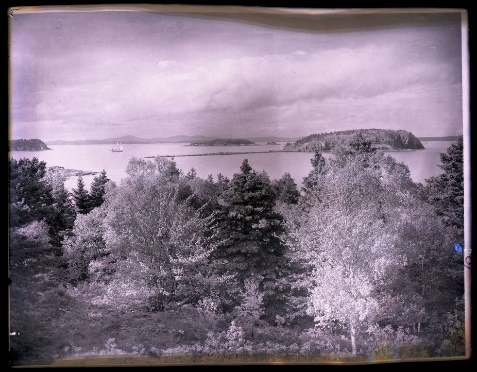 Bay View from Old Farm - June 4, 1905