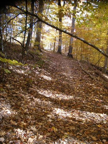 Ft. Circle Trails Stabilization and Maintenance, March 2011