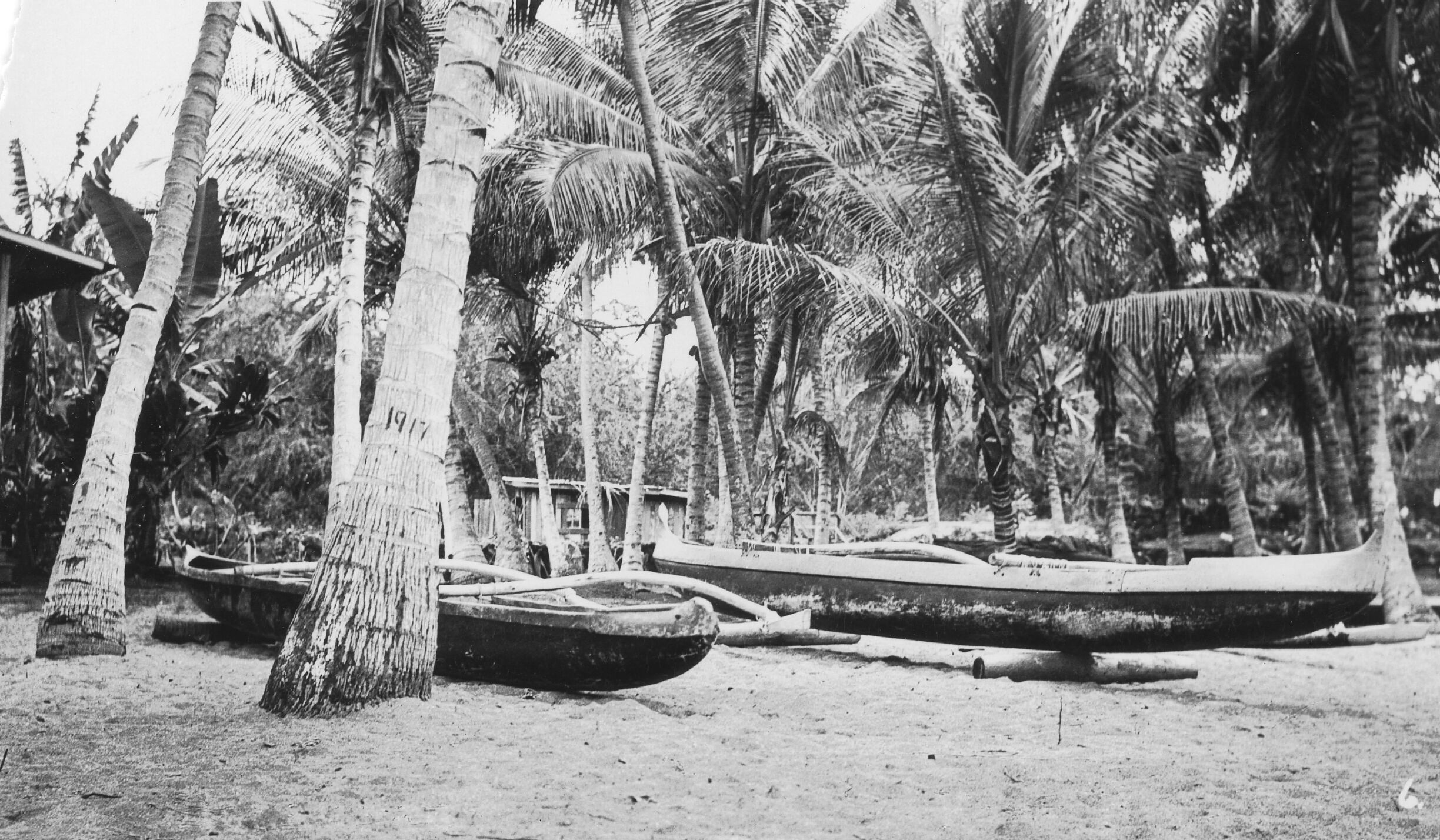 Black and white photograph showing two canoes resting on the sand. Two buildings are slightly visible on the right side and middle background among many palm trees. The front-most palm tree has an inscription reading "1917" on its trunk. A handwritten number "6" is present in the bottom right corner. Photographic key indicates this was taken at Hōnaunau-Nāpōʻopoʻo in Kona.