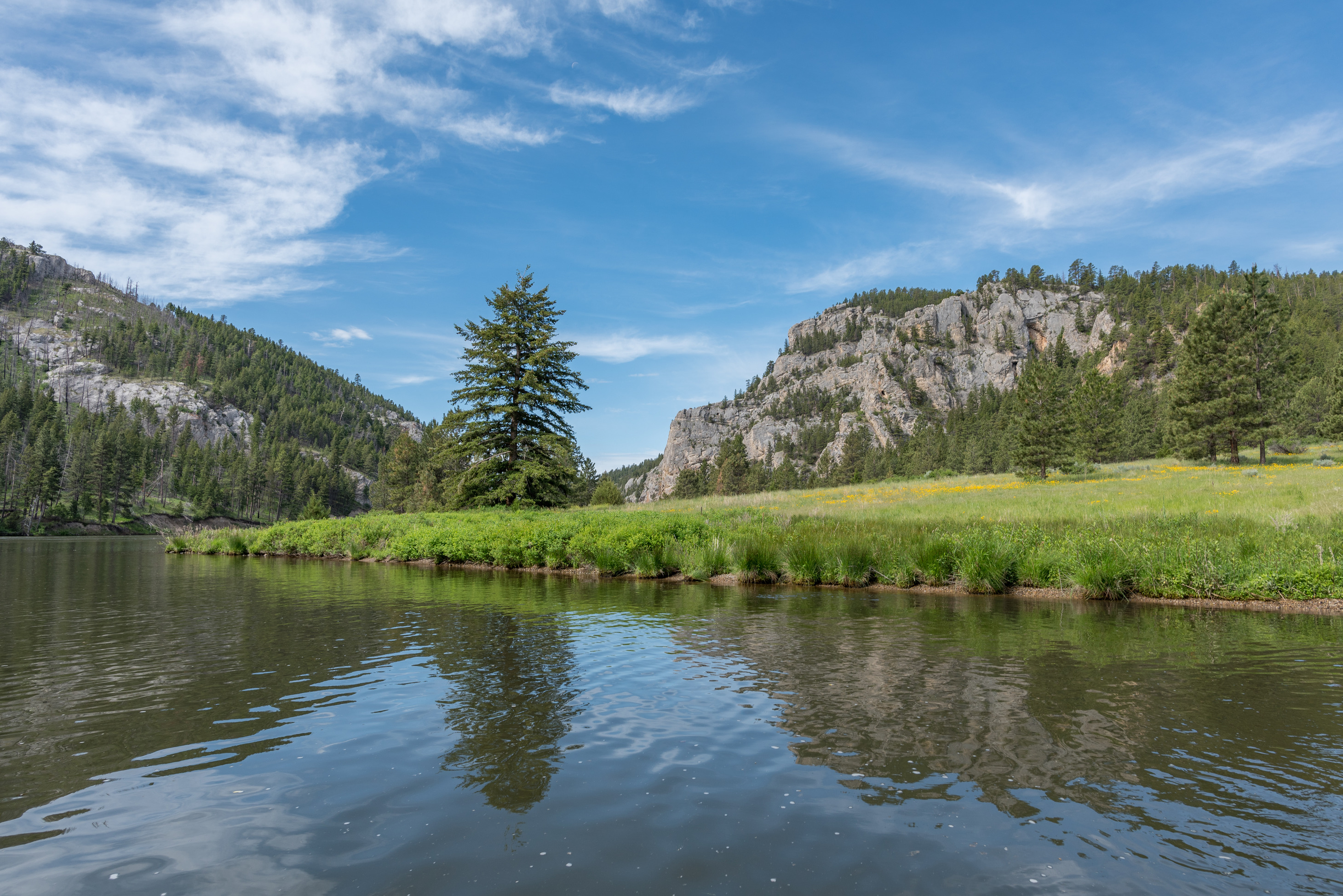 The Missouri River winds around a meadow with wildlfowers and conifers. White cliffs in the distance.