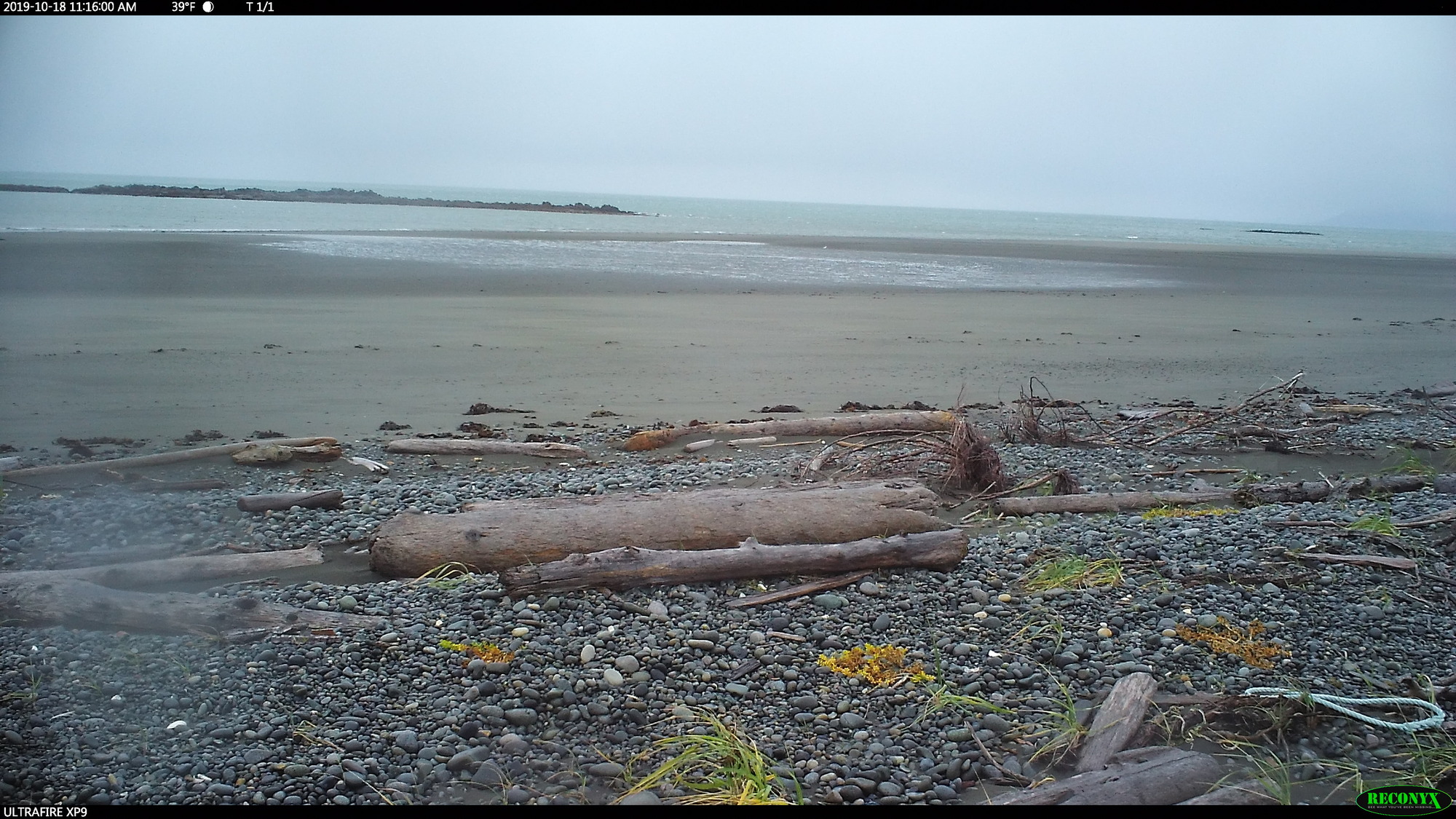 photo data from Katmai National Park. Data accompanies manuscript "Wolves on the Katmai coast hunt sea otters and harbor seals"