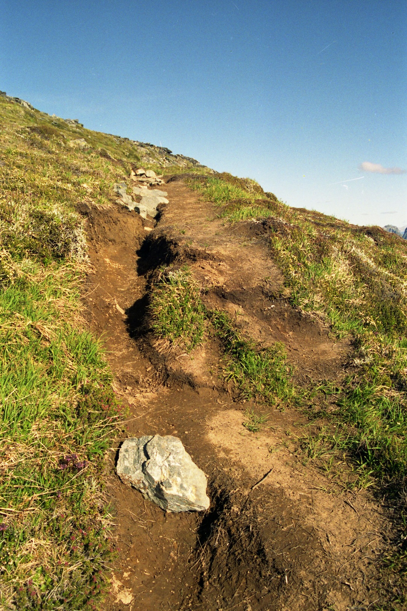 A trail with a long bare strip besides it surrounded by grass.