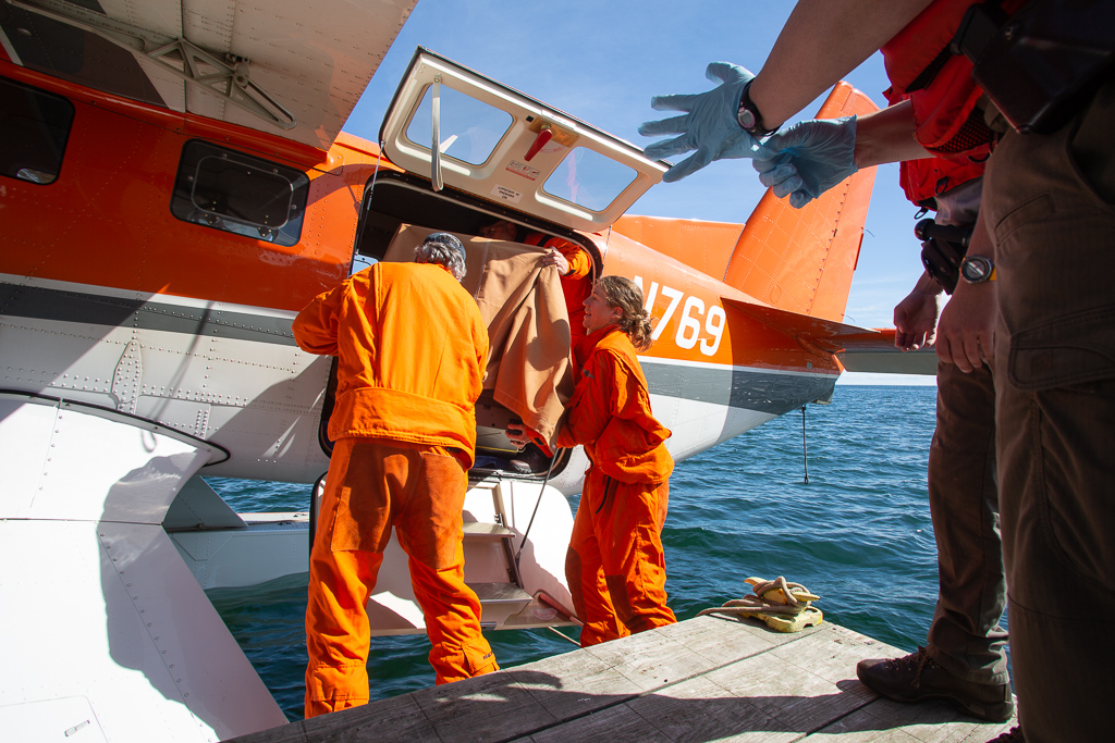 A seaplane is tied off to a dock. Park staff and partner experts unload the crated wolf from the cargo hold.