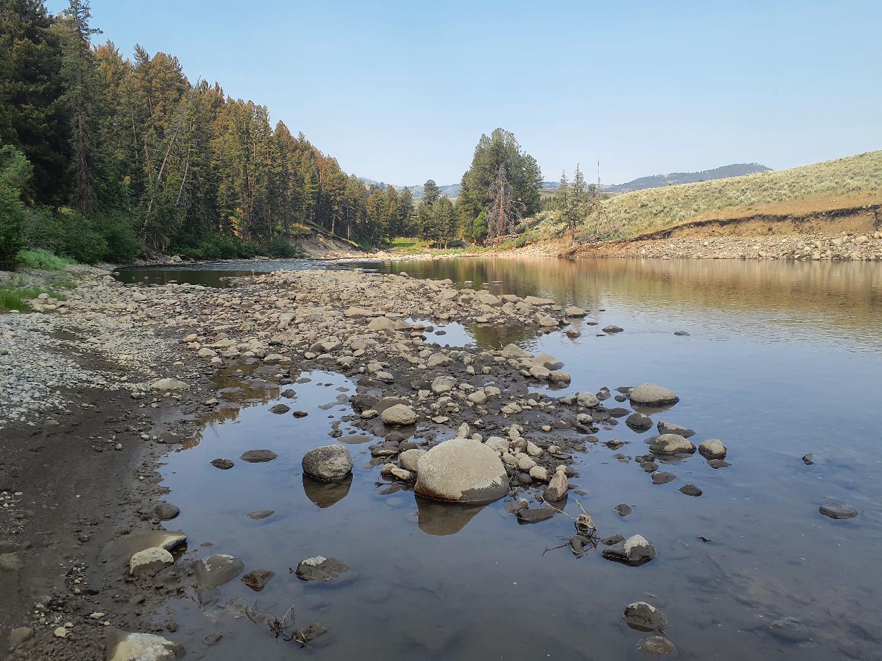 Lamar River near Tower Ranger Station, WY looking downstream on July 17, 2024.