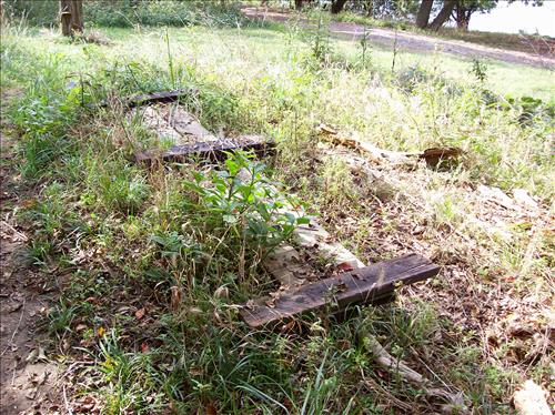 FOWA-Existing Conditions at Fort Washington Park, October 15, 2008