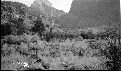 Oak Creek before development of residences.