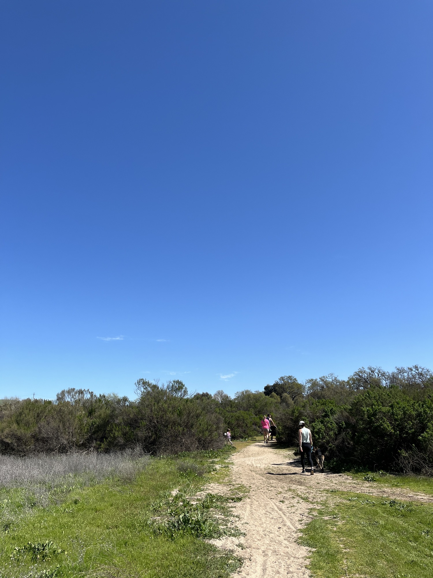 Three adults and one child with dog on dirt path