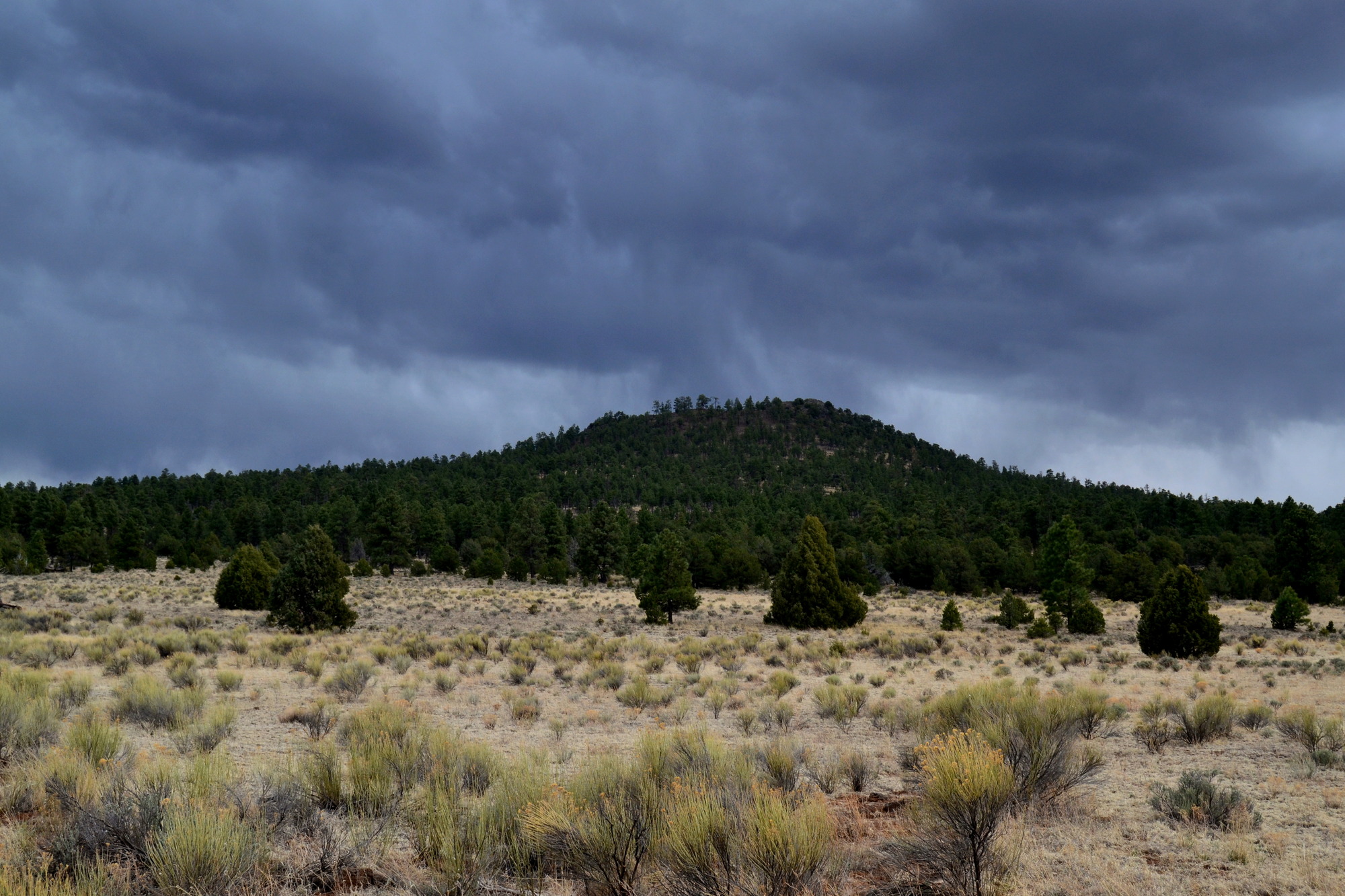 Cerro Rendija is a good example of a Shield Volcano. It has long, gradually sloping sides that resemble an upside down dinner plate. The lava that forms this type of volcano is often very runny and cools quickly, gradually forming its shape. This volcano is seen at El Malpais on a stormy afternoon,