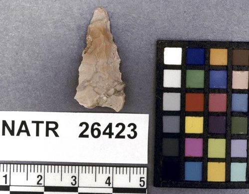 NATR   26423 -- Late Woodland / Miss Triangular Cluster projectile point