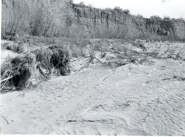 Soil Erosion, Chaco Wash 1 Mile Above Bridge