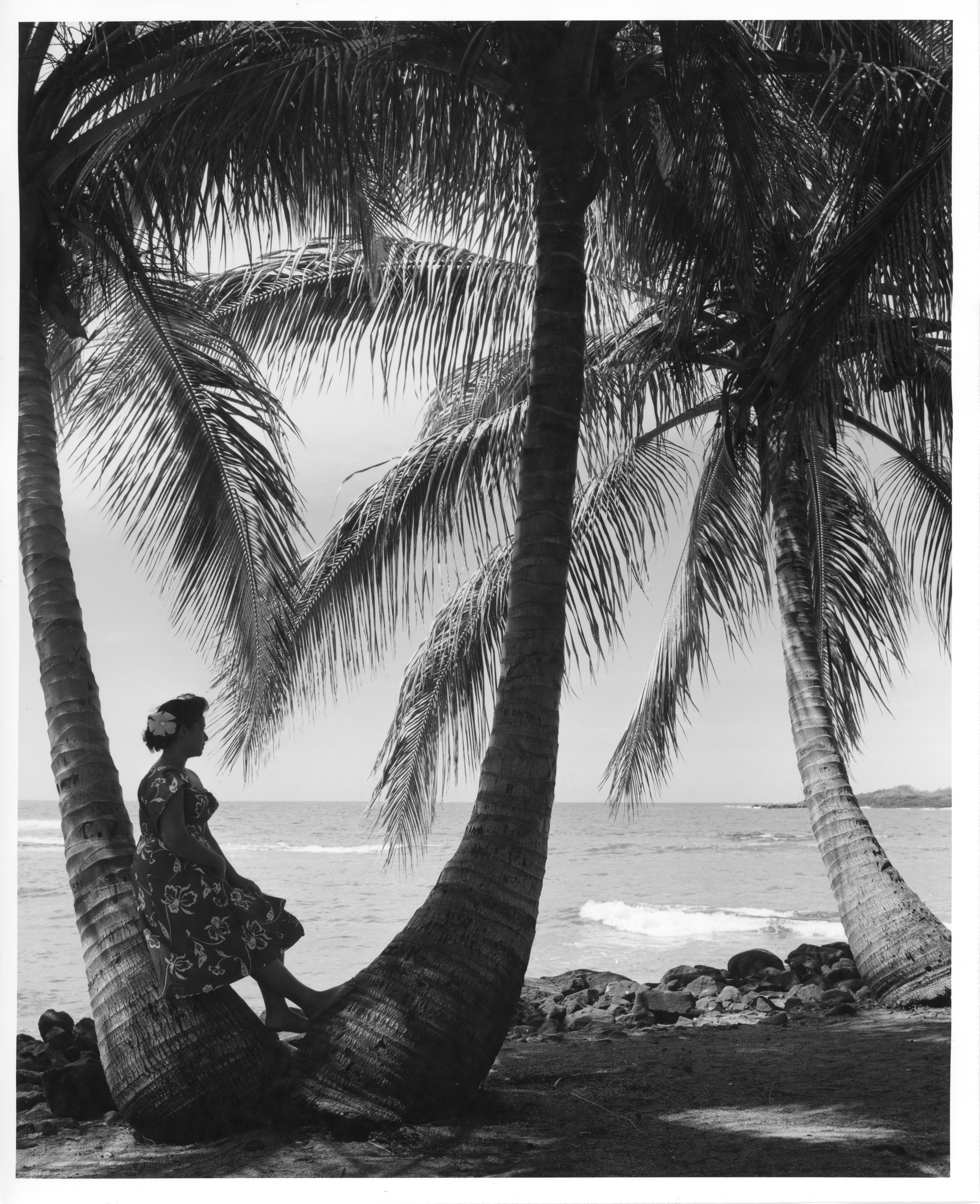 A black and white image of a woman leaning on a palm tree at the beach with the ocean behind her.  The woman is located on the left side of the image between two large palm trees. The woman is wearing an aloha dress with a flower in her hair. She is looking out onto the ocean as she leans her back on the left palm tree and rests her feet on the palm tree to the right of her. There is another palm tree to the very right of the image that is closer to the ocean and rocks. The background of the image is the ocean and the rocks on the shore.