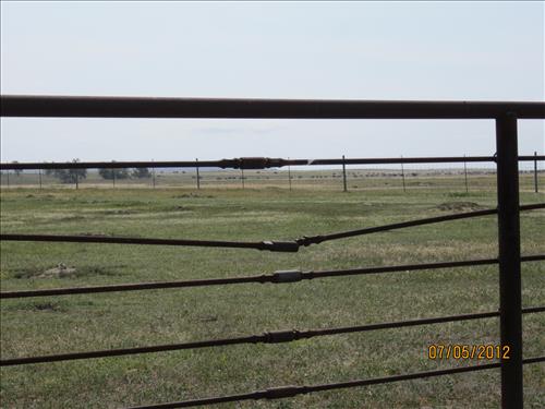 BADL_Bison_Corral_Fence_and_Compound