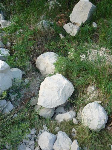 BADL Facility Management Collection: PROJECT - Loop Road - MM00 - MM04 -Remove Sediment from Drainage Ditches and Culverts