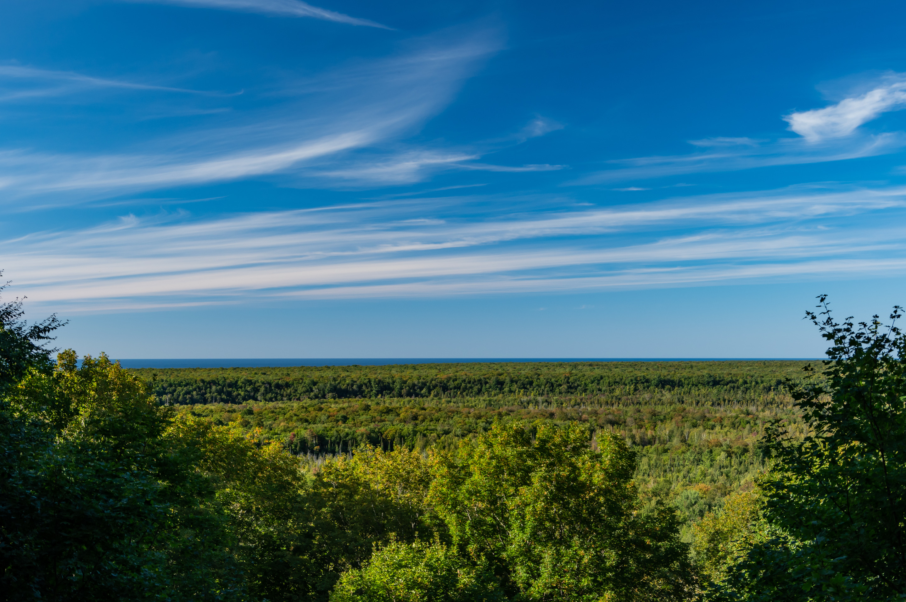 View of an extended forest of trees and a thin strip of Lake Superior beyond.