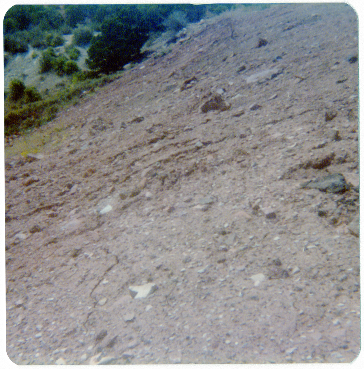 Gravel and dirt along the Kolob Terrace Road - North Unit.