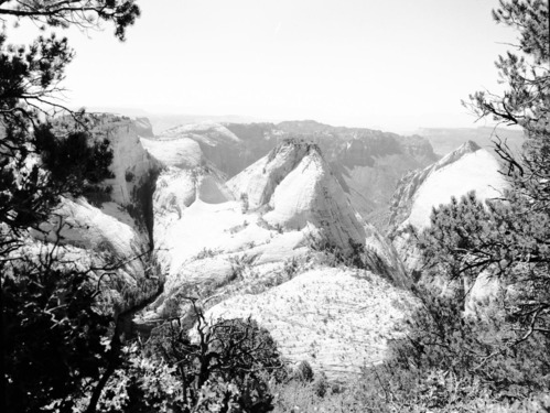 View west from West Rim trail into Great West Canyon (also called Left Fork of North Creek) from near Sleepy Hollow.
