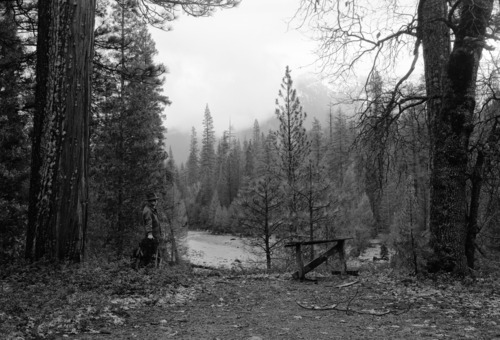 Private lands at Wawona, from Bob Russell lot.