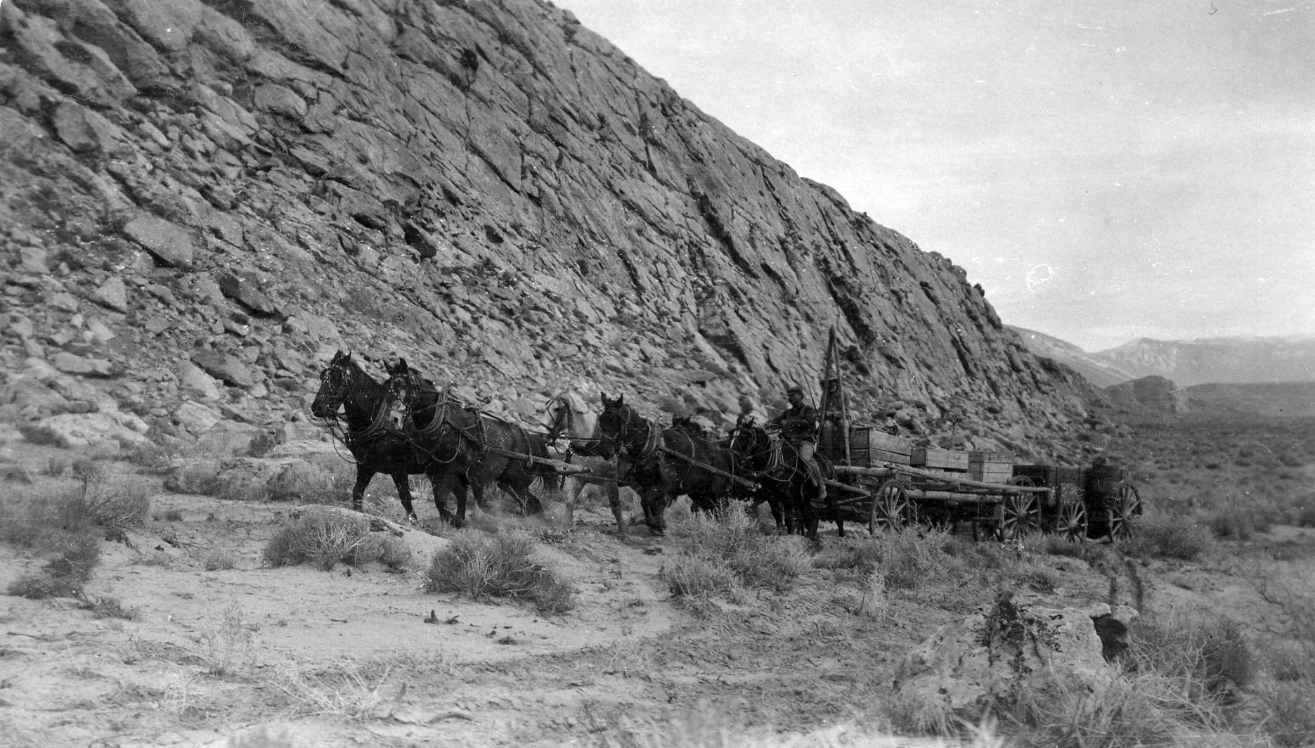 Bones being hauled by horse team from the Carnegie Quarry