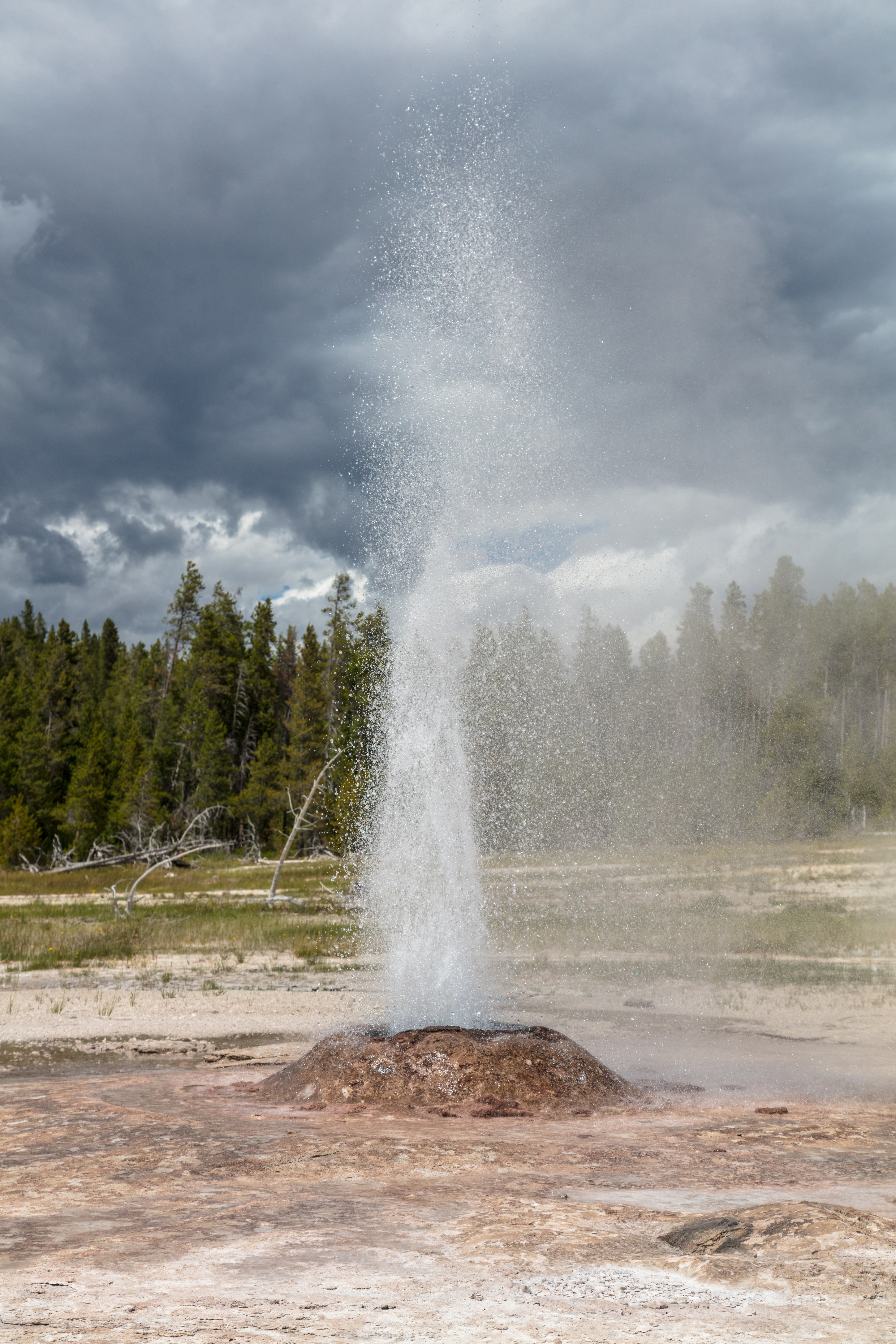 A narrow column of water erupts out of a pink geyser cone.