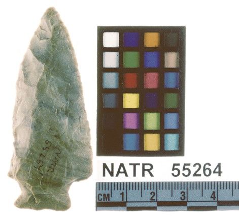 NATR   55264 -- Untyped projectile point