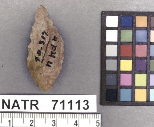 NATR   71113 -- Late Archaic Stemmed Cluster projectile point