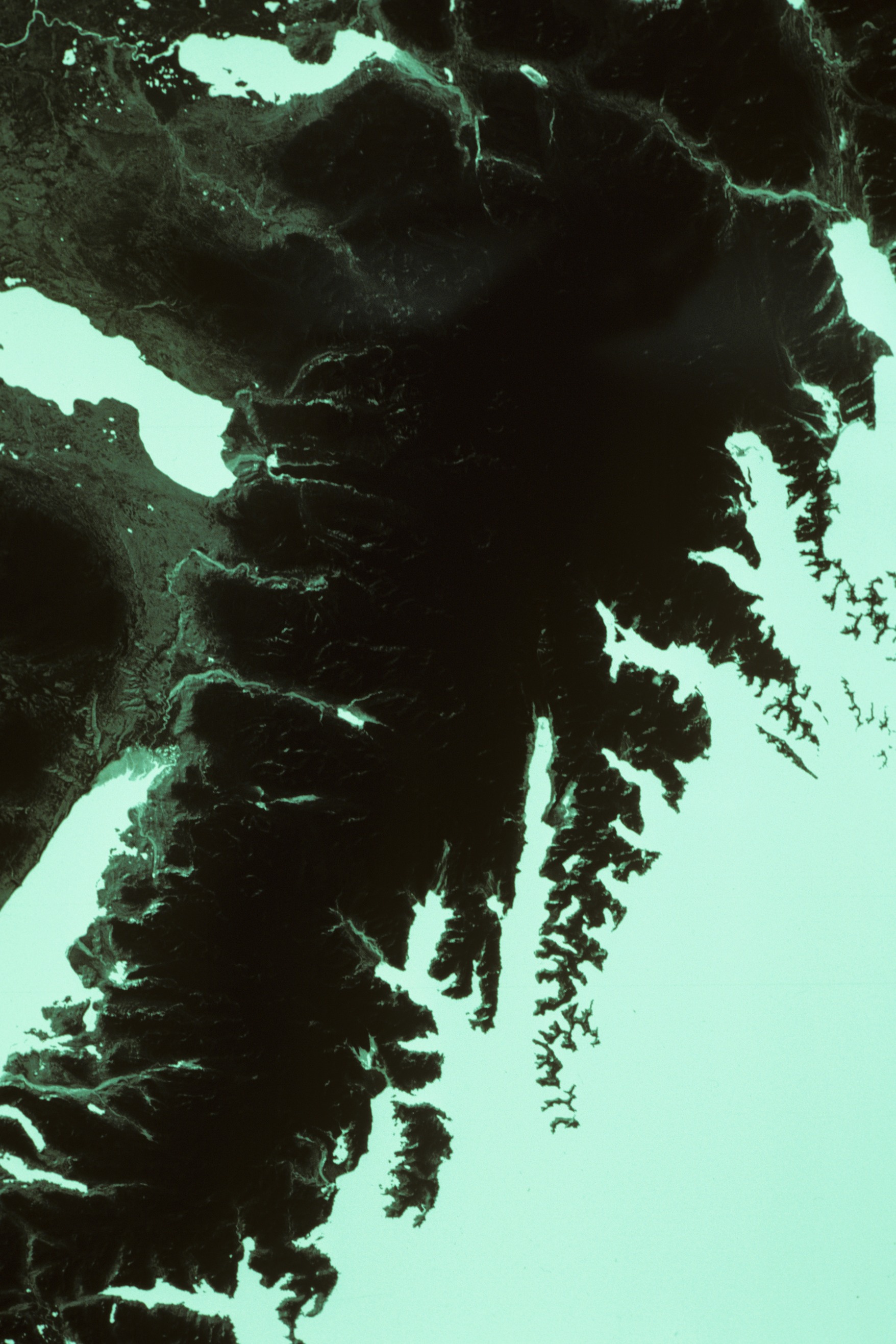 Harding Icefield black and white landsat satellite image negative May 10, 1984