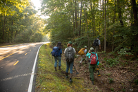 A group of five people, all wearing backpacks, walk off the side of the road into the forest