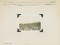 hfca_1607_iva_013_10_003_3313_a. Antelope [American Pronghorn] range.. Locality: Toroweap, Grand Canyon National Monument, Arizona. Negative #: 3313