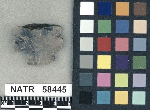 NATR   58445 -- Ledbetter Cluster projectile point