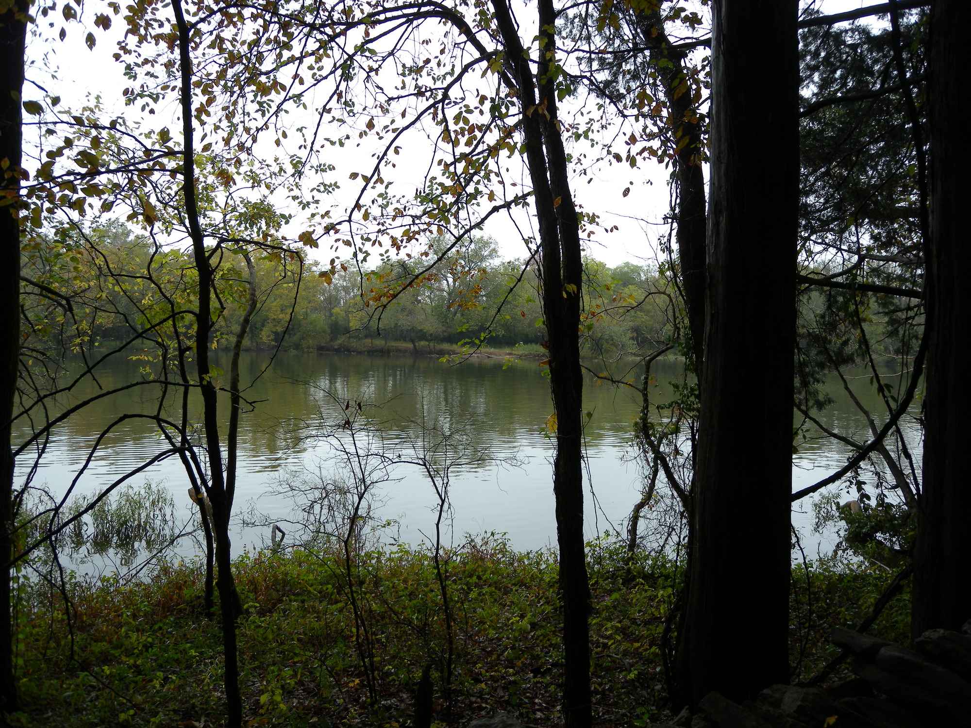 A waterbody sorrounded by forest.