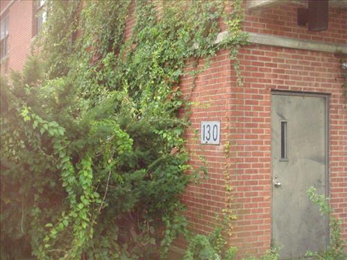 Deteriorated buildings 129, 130, 131, 132 at Floyd Bennett Field, Gateway NRA in 2013