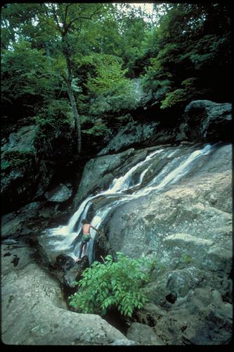 Catoctin Mountain Park, Maryland