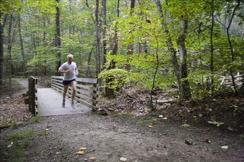 Fall Fun Run in the woods