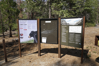 A wooden and metal tri-panel stands in the foreground. Behind it are trees. 