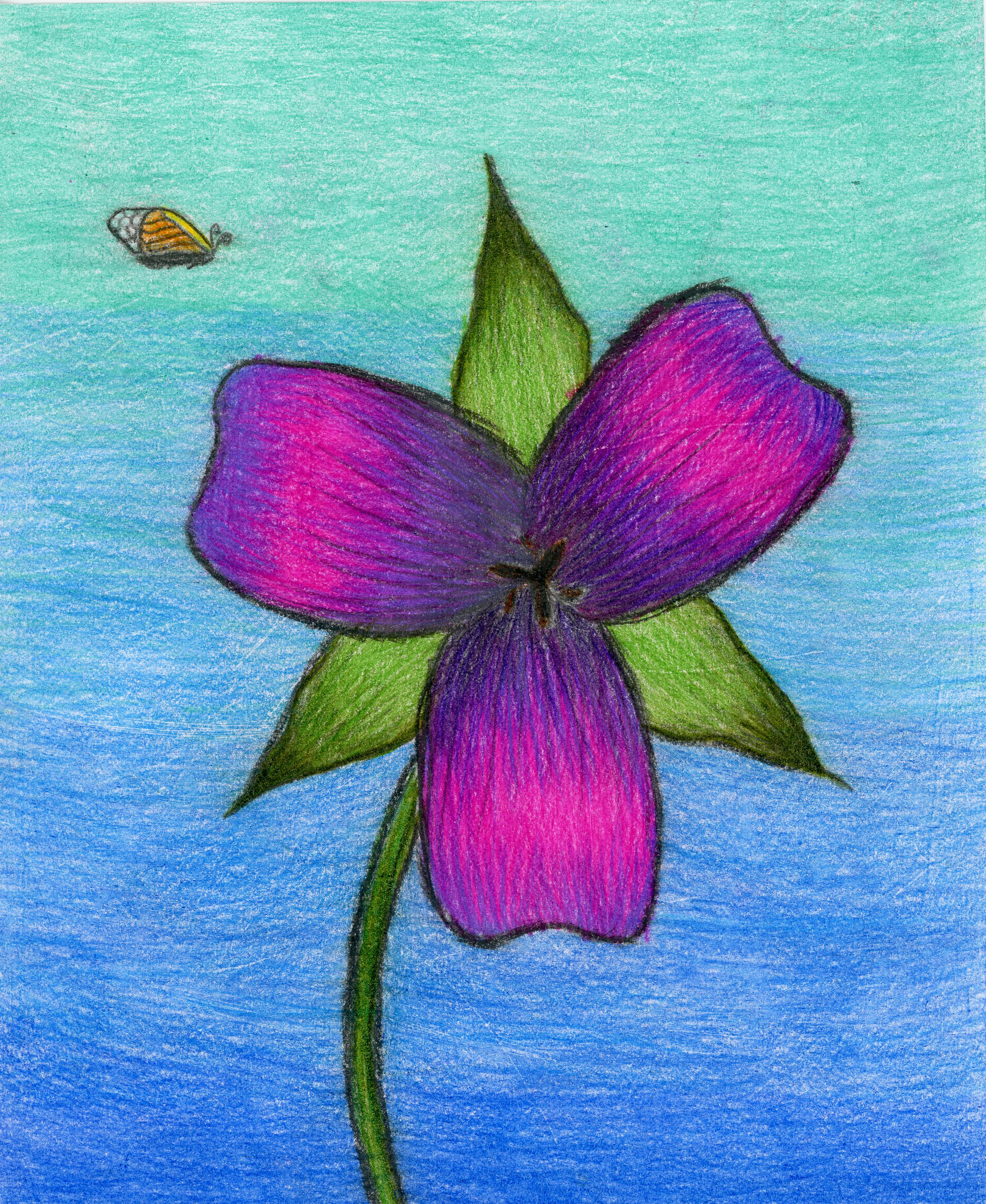 artwork of purple three petaled flower with butterfly