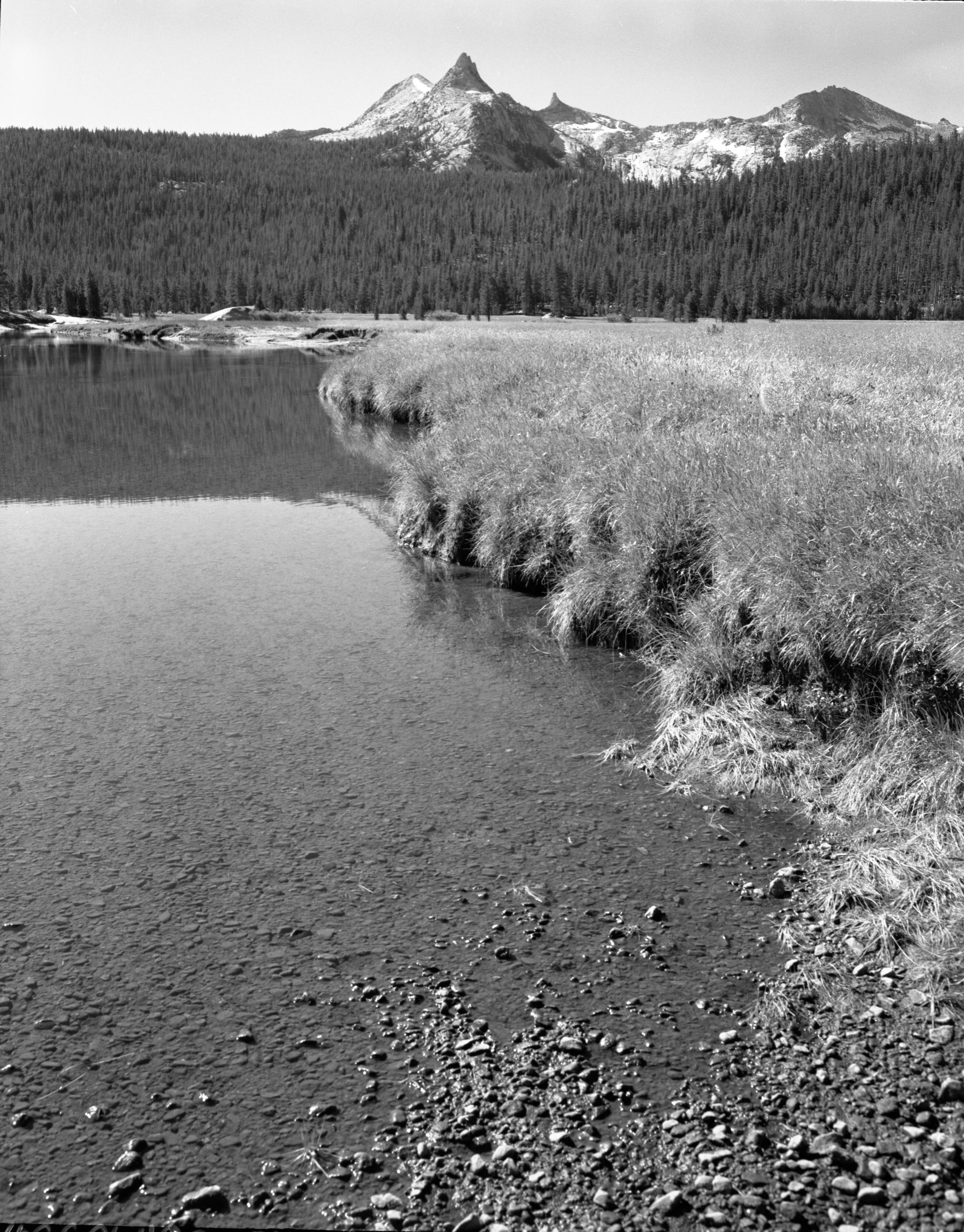 Unicorn Peak from Tuolumne Meadows