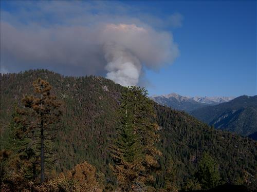Fire monitors observe fire activity on the Comb Complex wildfire, Sequoia and Kings Canyon National Parks, July 2005