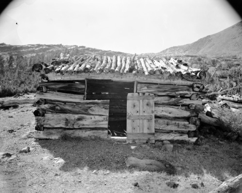 Golden Crown Cabin (several negs)