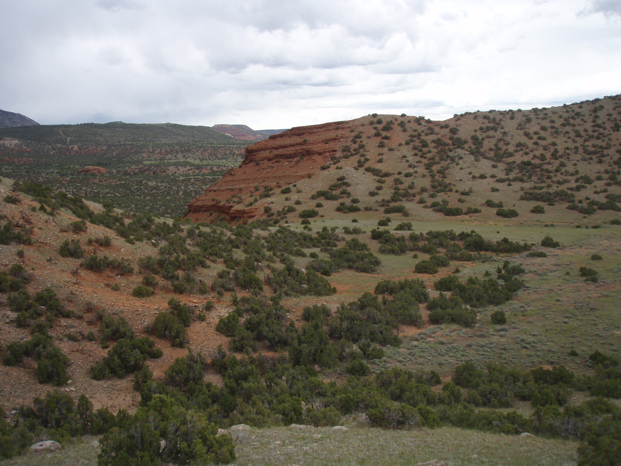 Image of the vegetation and landscape at photo point in Bighorn Canyon NRA 