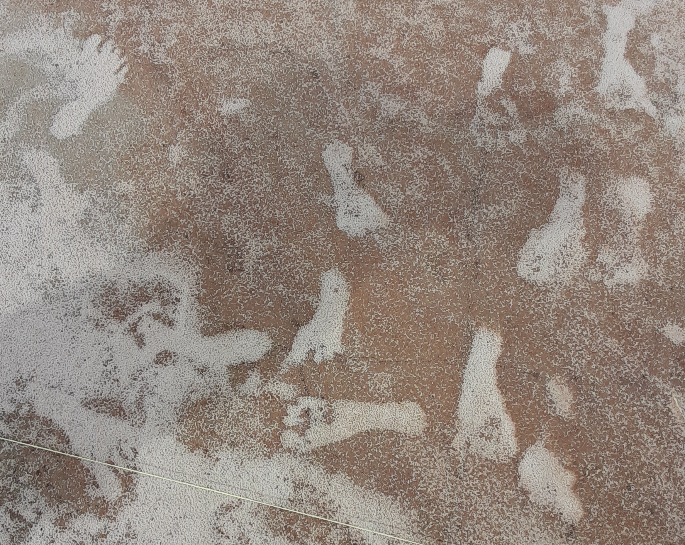 Aerial image of fossilized human footprints in the gypsum sand.
