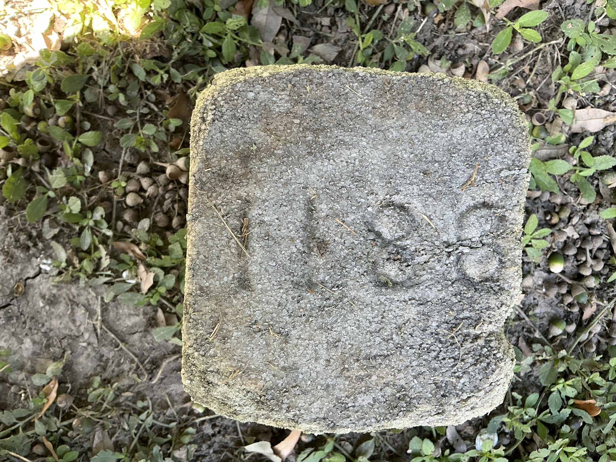 Top of flat marble marker