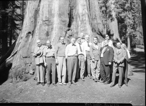 House Public Lands Committee against Big Trees. Left ro right: 1. Norris Poulson (Arizona); 2. Edward H. Jenison (Illinois); 3. N/A; 4. N/A; 5. N/A; 6. Fred L. Crawford (Michigan); 7. Richard J. Welch (California); 8. Charles H. Russell (Nevada); 9. Frank A Barrett (Wyoming); 10. Jay LeFevre (New York); 11. Antonio M. Fernandez (New Mexico); 12. N/A [Roster of official party - in Collective Biography box 920]