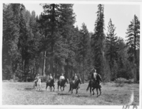Ranger Led Horseback Ride. Administrative Collections: Album 1- Ranger Led Horseback Rides near Drakesbad